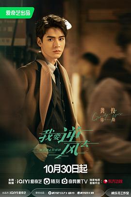 中山市seo域名优化